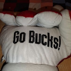 Ohio State Buckeyes fan hand
